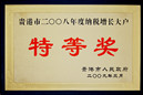 2008年度纳税增长大户特等奖